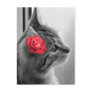 Cat with Rose Post Cards