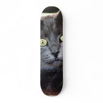 Cat With Staring Eyes skateboards