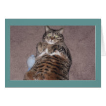 Cat With Tude Birthday Card