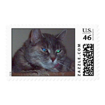Cat With Two Different Eyes Custom Postage postage