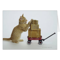 Cat with wagon and boxes card