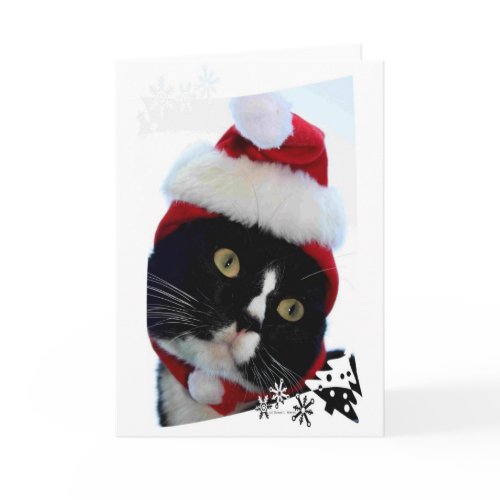 Cat with yellow eyes in Santa Hat head pic card