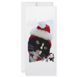 Cat with yellow eyes in Santa Hat head pic Customized Rack Card