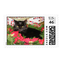 Cat Wreath Stamps