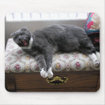 Cat Yawn! mousepads by cre8iveheart Cat Yawn! mousepads