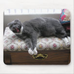 Cat Yawn! mousepads