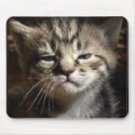 cat zazzle mousepads