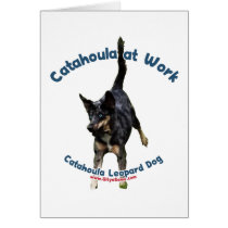 Catahoula Dog at Work Cards