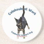 Catahoula Dog at Work Coasters