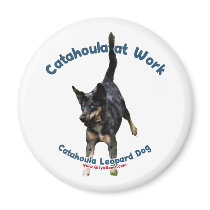Catahoula Dog at Work Magnet