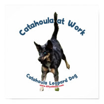 Catahoula Dog at Work Poster