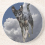 Catahoula Dog Running in Fluffy White Clouds Beverage Coasters