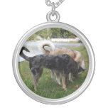 Catahoula Leopard Dog and Ausky Dog Sniffing Jewelry