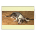 Catahoula Leopard Dog cards by Catahoula Catahoula Leopard Dog cards