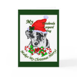 Catahoula Leopard Dog Christmas Gifts