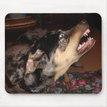 Catahoula Leopard Dog Showing Teeth Mousepads