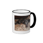 Catahoula Leopard Dog Snoozing Coffee Mug