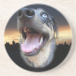 Catahoula Leopard Dog Sunset Drink Coasters