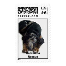 Catahoula Rescue, Postage