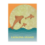 Catalina Flying Fish Postcard