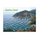 Catalina Island 2 Post Card