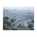 Catalina Island shore postcards by fliipper Catalina Island shore postcards