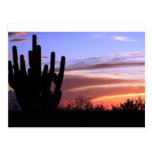 Catalina Mountains Sunset Post Card