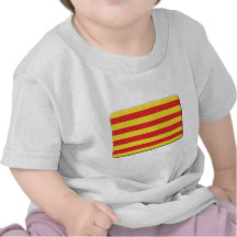 Catalonia Flag PERSONALIZE Shirt
