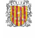 Catalonia Kids' Dark Shirt