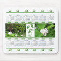 CATALPA TREE FLOWERS 2008 CALENDAR mousepads