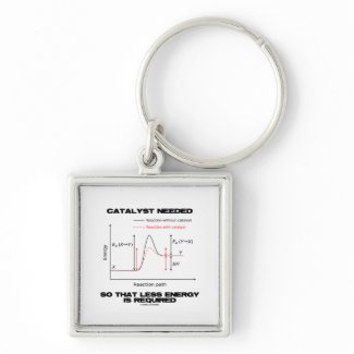 Catalyst Needed So That Less Energy Is Required keychain