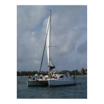 catamaran posters by catherinenoy catamaran posters