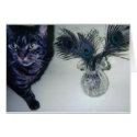 catandpeacockfeathers 001 cards by BeautyUnlimited catandpeacockfeathers 001 cards