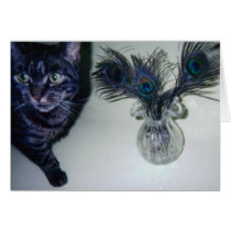 catandpeacockfeathers 001 cards
