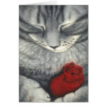catandrose 001 cards