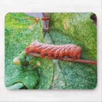 "Catapitter" mousepads by sumiko "Catapitter" mousepads