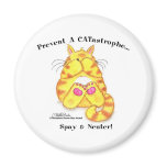CATastrophe magnets