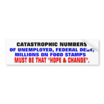 CATASTROPHIC NUMBERS-MUST BE THAT HOPE AND CHANGE! BUMPER STICKER