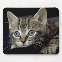 Catatonic Mouse Pads