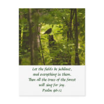 Catbird in the Forest Green Postcard