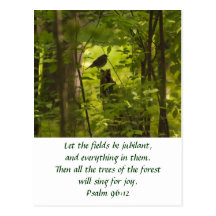 Catbird in the Forest Green Postcard