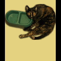 catBowl t-shirts