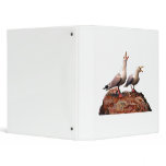 Catcalling Gulls binders