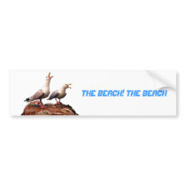 Catcalling Gulls Bumper Sticker