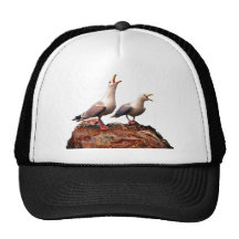Catcalling Gulls Hats