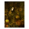 catch a falling star posters