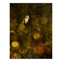 catch a falling star posters