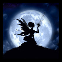 Catch a Falling Star Poster posters