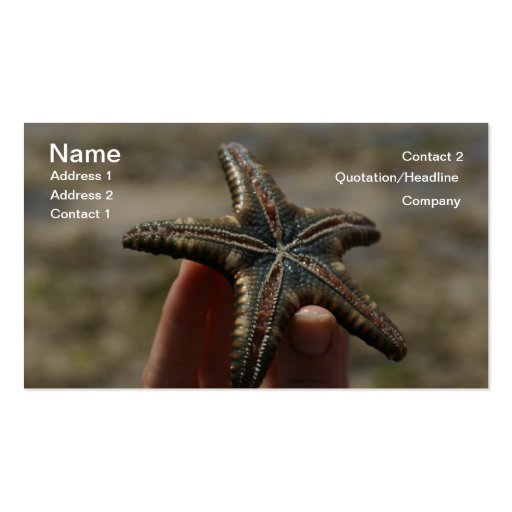 Catch a Floating Star...Starfish Business Card
