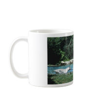 Catch a Tiger Mug